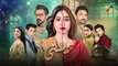 Meesni - Episode 101 - ( Bilal Qureshi, Mamia, Faiza Gilani ) 31st May 2023 - HUM TV