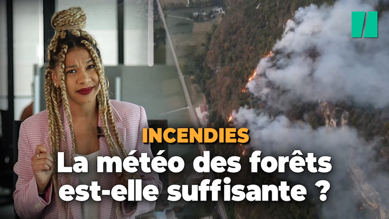 Le message caché de la "météo des forêts"