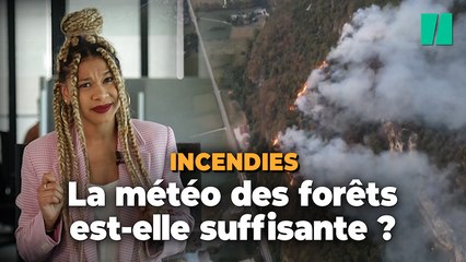 Le message caché de la "météo des forêts"