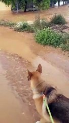 Consecuencias de la tromba de agua en Quintana del Pidio.