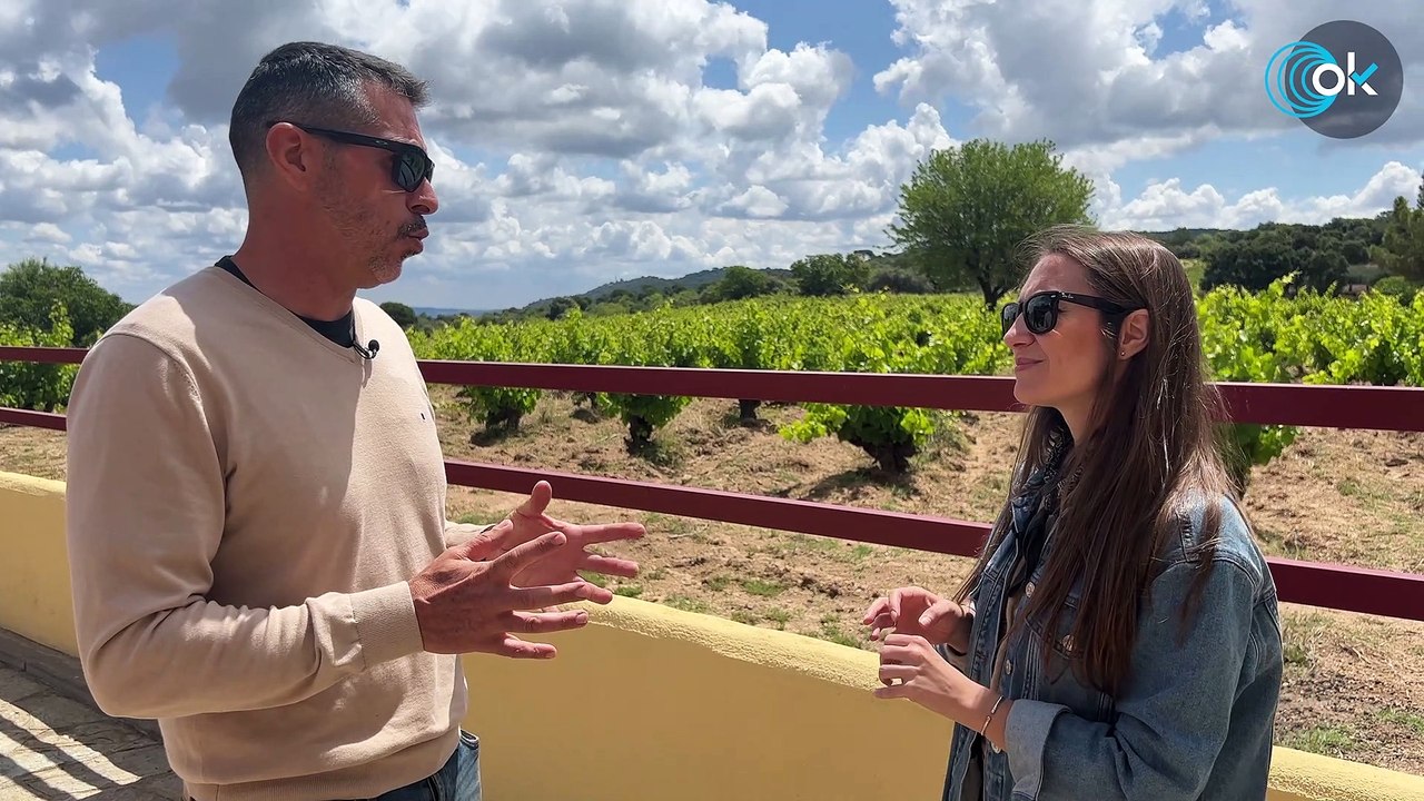 De San Martín de Valdeiglesias a Pelayos: las bicicletas también son para los viñedos
