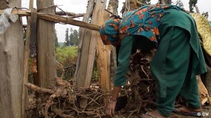 Kashmir: The difficult journey of pregnant nomadic women