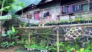 Rain in beautiful Hilly Village Village atmosphere Indonesian countryside