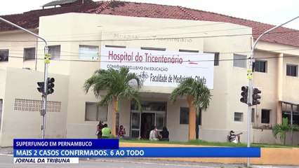 Pernambuco confirma mais 2 casos do superfungo e sobe para 6 número de pacientes