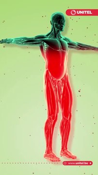 Estos son los alimentos antioxidantes que te puede ayudar a 'frenar' en envejecimiento