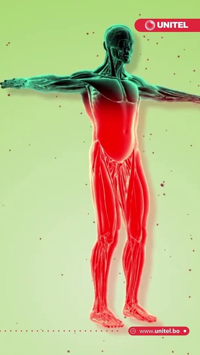 Estos son los alimentos antioxidantes que te puede ayudar a 'frenar' en envejecimiento