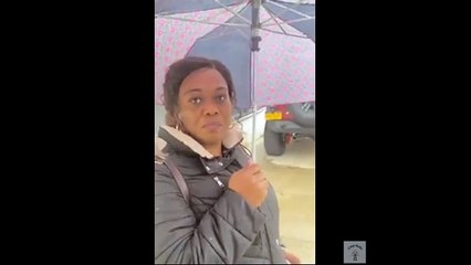 Memes and Animals Compilation 119