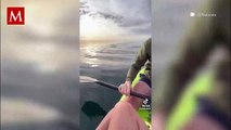 Pareja capta a ballenas mientras paseaban en su Kayak