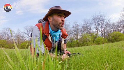 This SNAKE has NO PANTS!