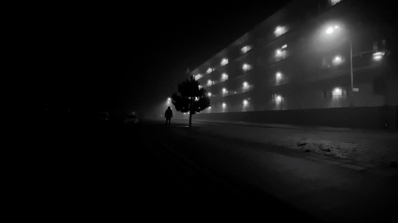 LA NIEBLA