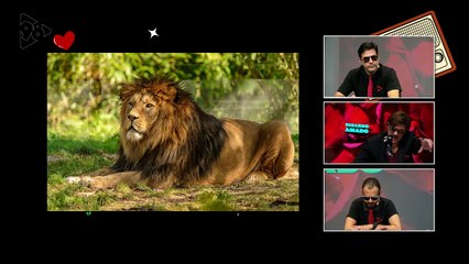 Ricardo Amado 31/05/23