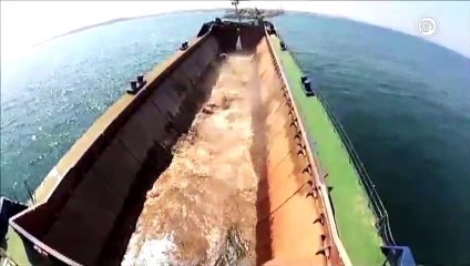 Omitieron 18 arrecifes en el estudio de impacto de la ampliación del Puerto de Veracruz