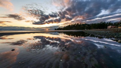 Experience Total Relaxation While Studying with Our Calming Meditation Music