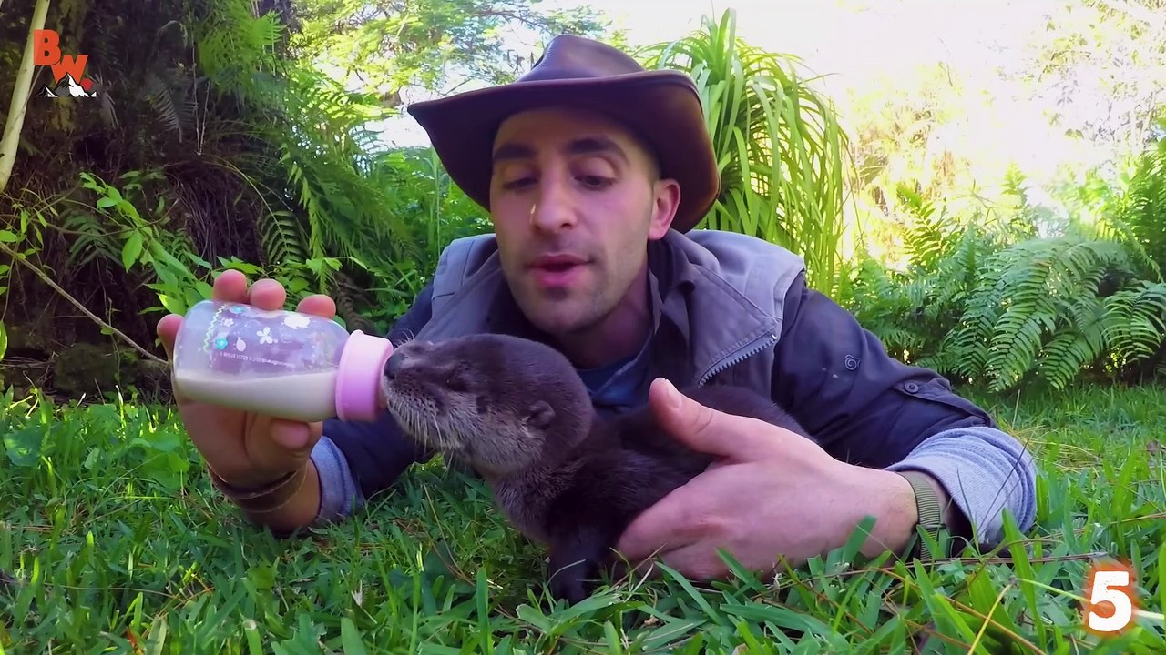 Cutest Animals EVER!
