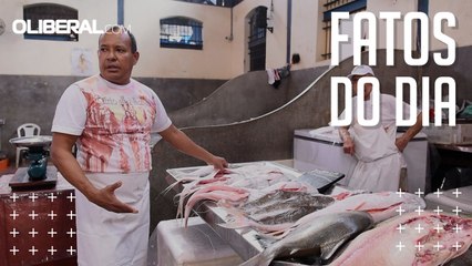 Pescado consumido no Mercado do Peixe, no Ver-o-Peso, é de qualidade, garantem peixeiros