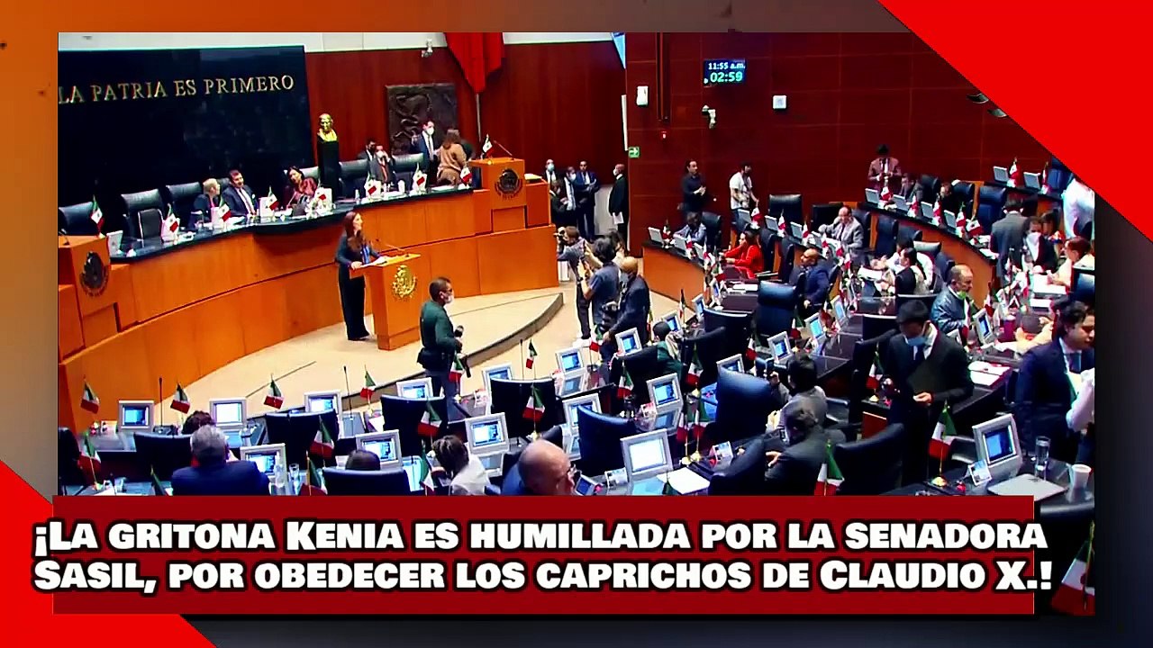 ¡VEAN! ¡La gritona Kenia es humillada por la senadora Sasil por obedecer los caprichos del Sr. X.!