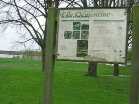 Sainte-Luce sur Loire : île Clémentine
