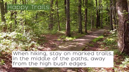 How To Keep Ticks Away