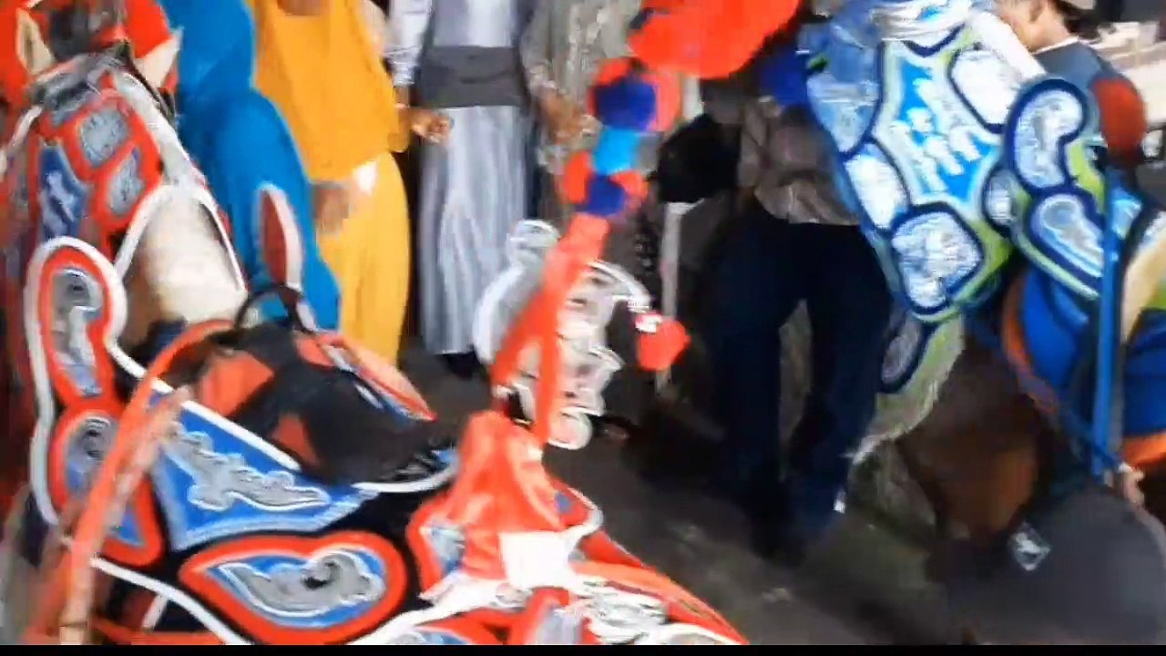 Kuda Renggong #01