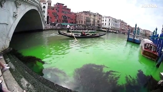 Chiazza verde fosforescente sul Canal Grande a Venezia