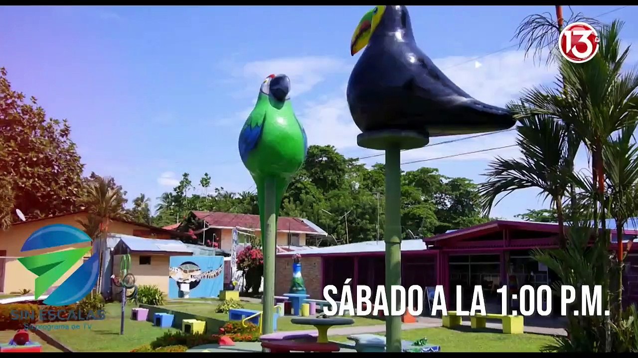 Trece Noticias: Edición Estelar - 31 mayo 2023.