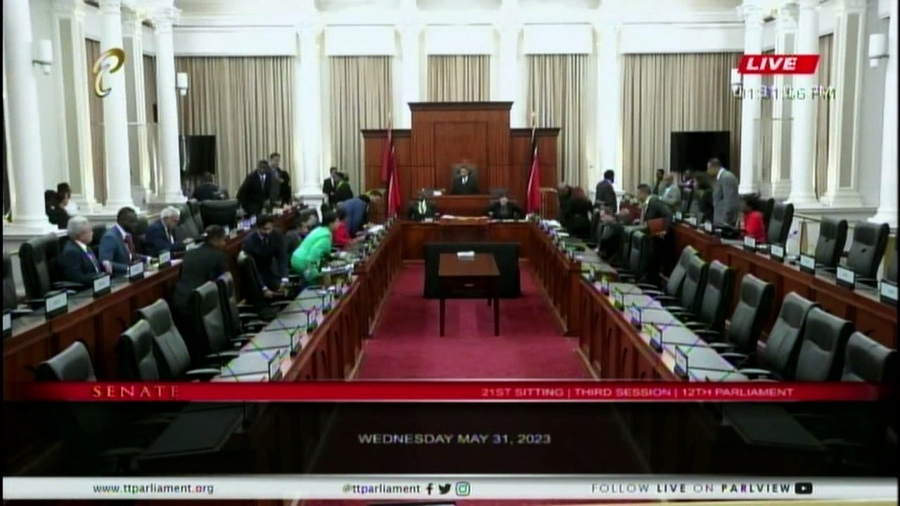 VALIDATION BILL DEBATED IN THE SENATE