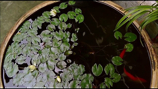 Bruno Thiévet - Le condamné à mort