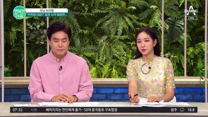 서울시 오발령 대피 문자, 무작정 대피?.... 일본과 비교해보니 구체적인 정보 부족해