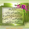 Golden Words in Urdu | Urdu Quotes about Life | Motivational Quotes in Urdu
