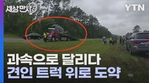 [세상만사] 견인 트럭 딛고 날아서 떨어진 과속 차량 / YTN