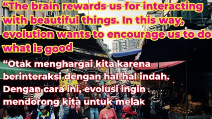 said Frank Wilczek's inspiring quote