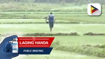 Bagyong #BettyPH, 'blessing in disguise' sa Cagayan dahil sa dala nitong ulan na magsisilbing solusyon sa problema sa tubig ng mga magsasaka