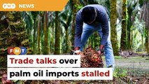 Malaysia, Indonesia delay talks with EU over palm oil imports