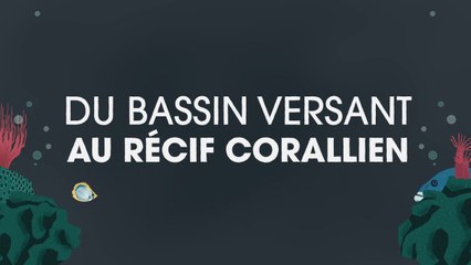 Du bassin versant au récif corallien : les explications en images