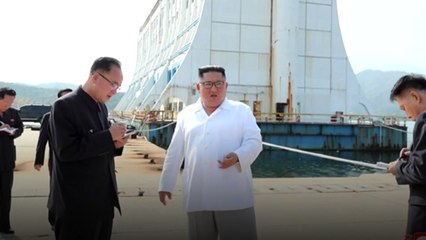 [영상] 90kg → 140kg...김정은 몸무게 변천사 / YTN