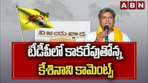 టీడీపీలో కాక‌రేపుతోన్న కేశినాని కామెంట్స్ | TDP MP Keshineni Nani Comments | ABN Telugu