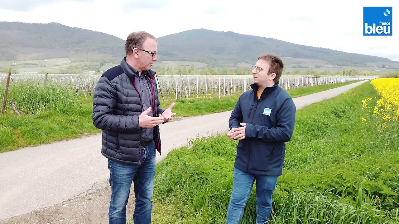 En vidéos - Le Slow Up Alsace 2023 avec Olivier Sohler 5/6