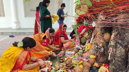 下载视频: Vat Savitri Purnima 2023 Date: वट सावित्री पूर्णिमा 2023 कब है|वट सावित्री पूर्णिमा 2023 शुभ मुहूर्त