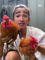 Influencer Bretman Rock introduces all his 40  pet chickens wearing their new colorful chicken charm bracelets