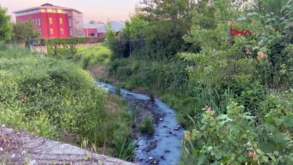 İstanbul’da maviye boyanan dere tedirginliği! Fabrika atık suyu iddiası