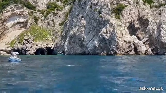 A Capri le piroette dei delfini vicino alla Grotta Verde