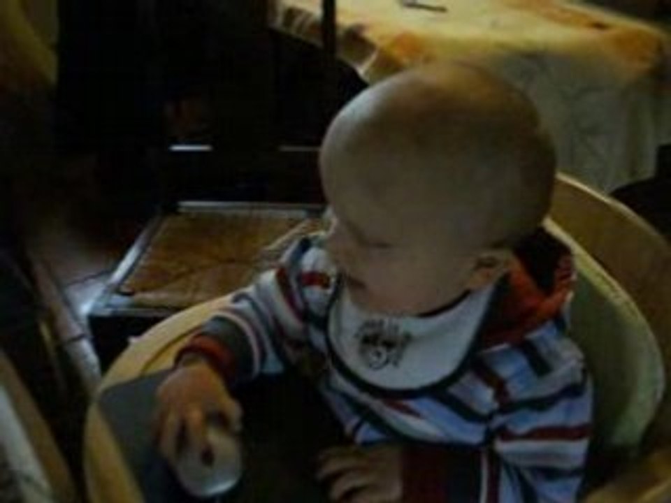 Mister ordinateur... les zanimos !!!