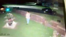 Has mystery plant pot pincher been caught on camera?