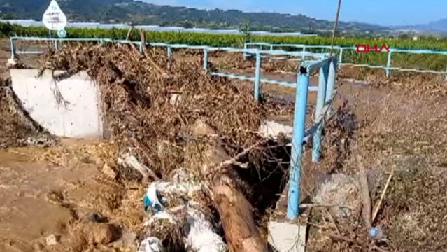 Sağanak yağmurun neden olduğu Taşkın Sarıgöl Ovası'nı sular içinde bıraktı