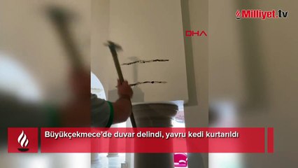Büyükçekmece’de duvar delindi, yavru kedi kurtarıldı