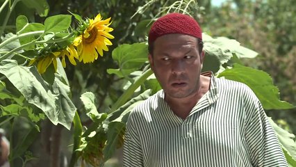 مسلسل حريم الشاويش ـ الحلقة (29) كاملة HD