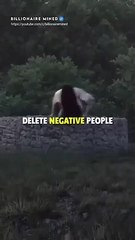 4 Essential Life Lessons to Live By