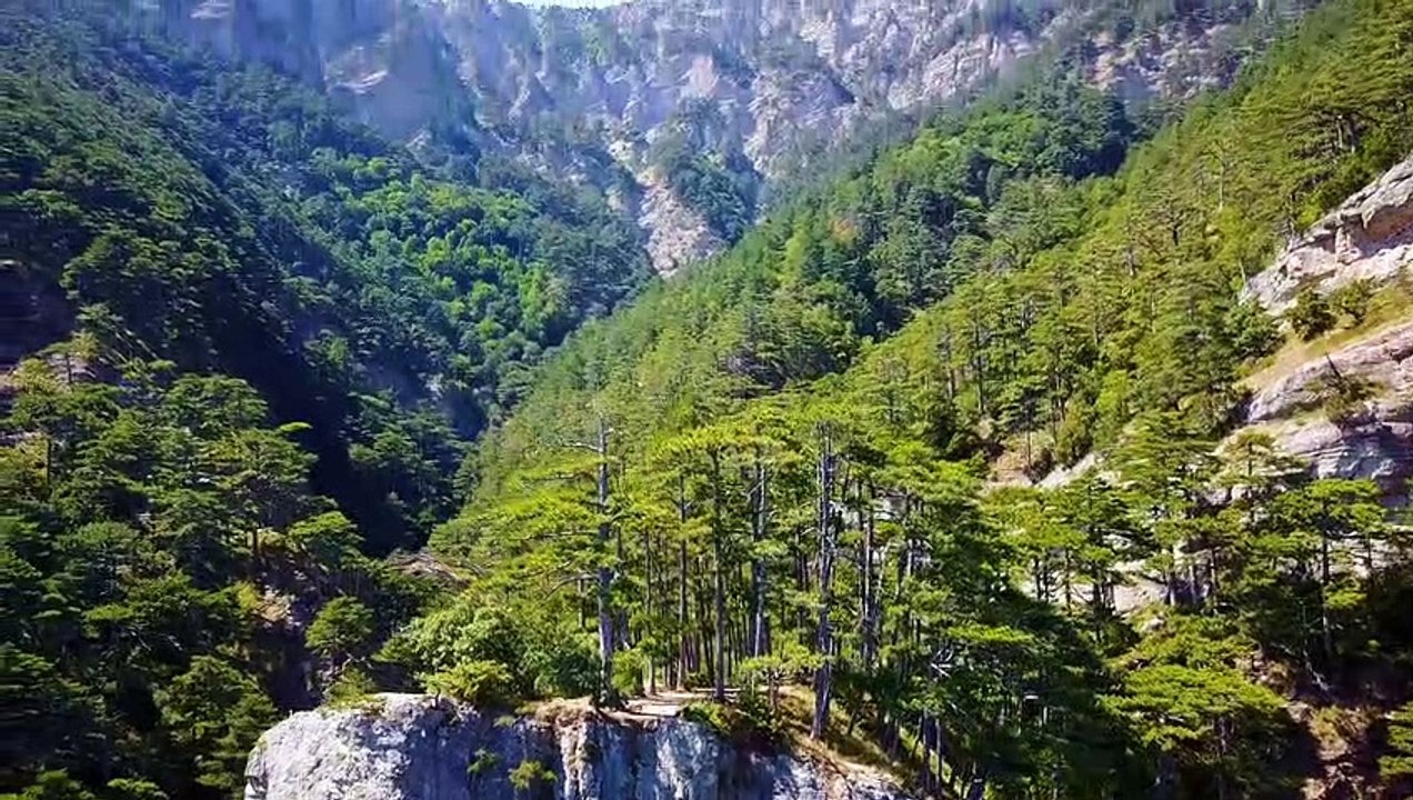 Nature Short Part - 13
