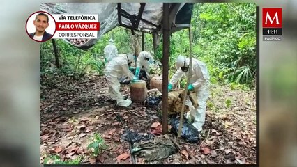 Elementos del Ejército desmantelan narcolaboratorio donde se producía droga sintética en QRoo