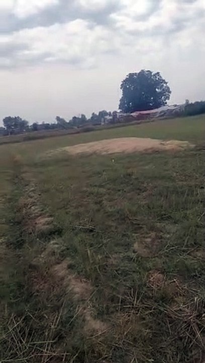 VID-20230516-WA0001